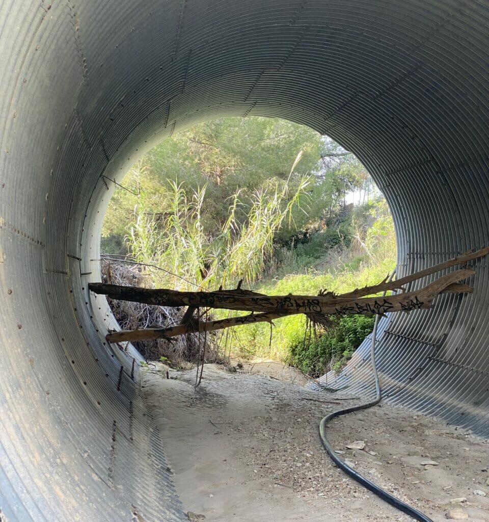 Rio Seco Torrevieja Pilar de la Horadada vandring 3