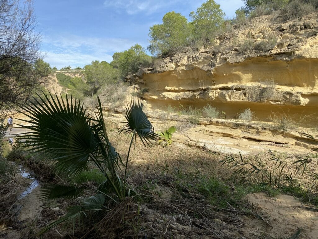 Rio Seco Torrevieja Pilar de la Horadada vandring 1